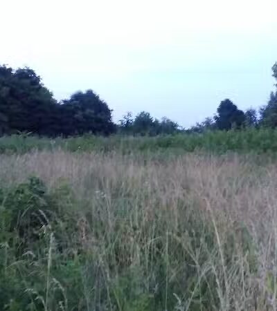 Ridgeview Farm - Hillsboro, OH