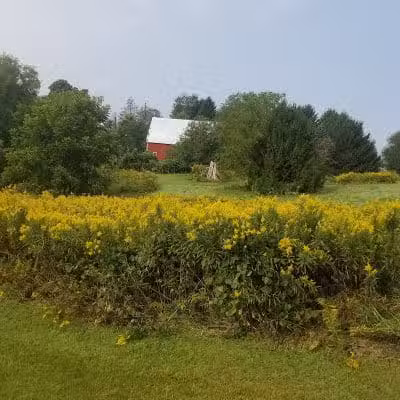 Ridgeview Farm - Hillsboro, OH
