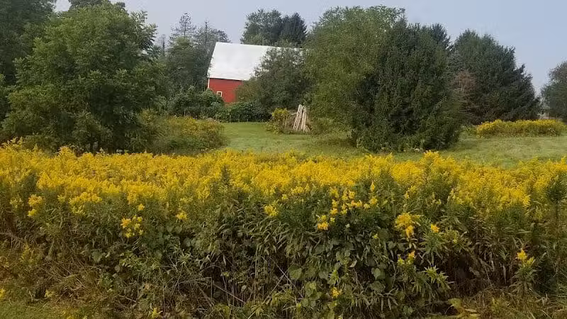 Ridgeview Farm - Hillsboro, OH