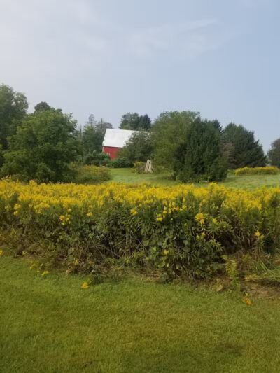Ridgeview Farm - Hillsboro, OH