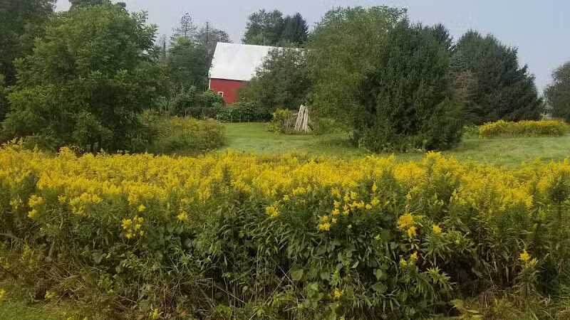 Ridgeview Farm - Hillsboro, OH