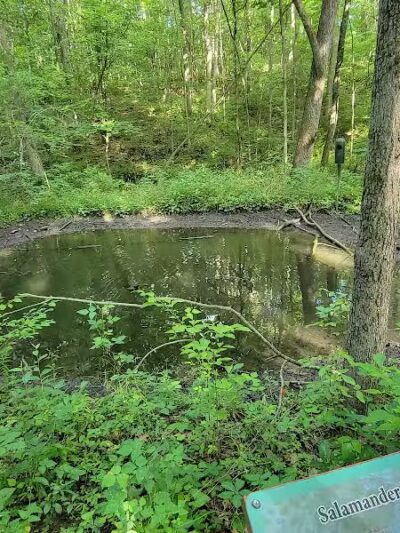 Ridgeview Farm - Hillsboro, OH