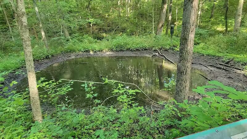 Ridgeview Farm - Hillsboro, OH