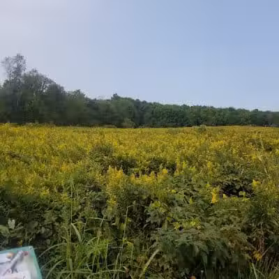 Ridgeview Farm - Hillsboro, OH