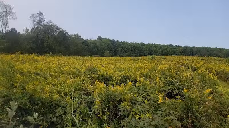 Ridgeview Farm - Hillsboro, OH