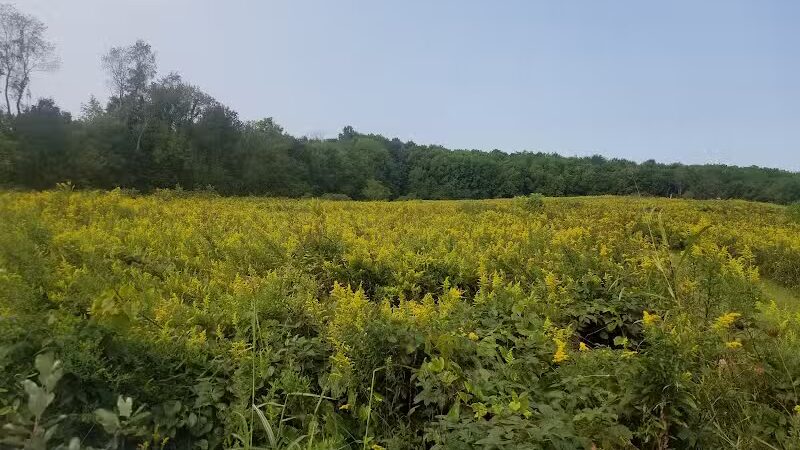 Ridgeview Farm - Hillsboro, OH