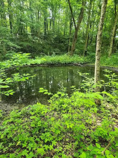 Ridgeview Farm - Hillsboro, OH