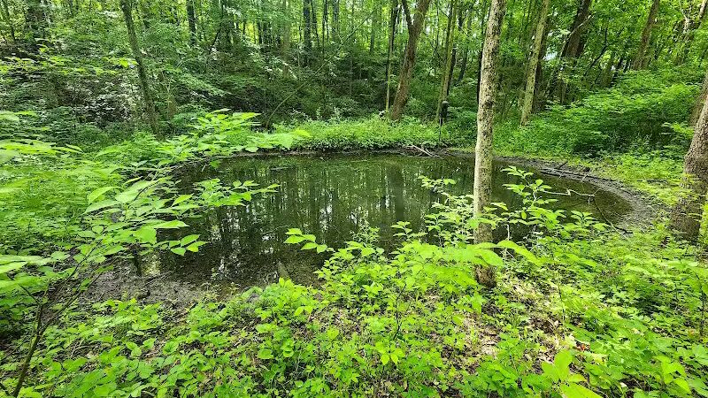 Ridgeview Farm - Hillsboro, OH