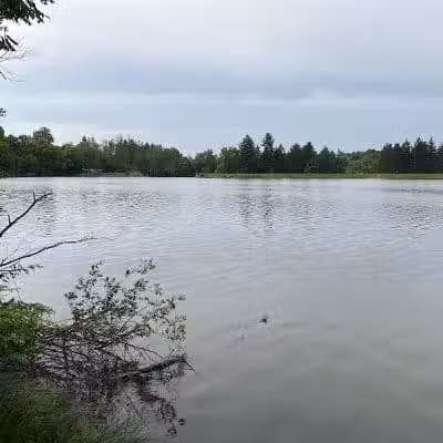 Hinckley Lake Trail Loop - Hinckley, OH