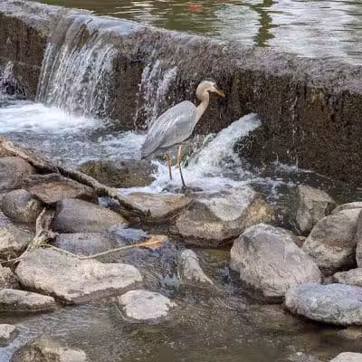 Hinckley Lake Trail Loop - Hinckley, OH