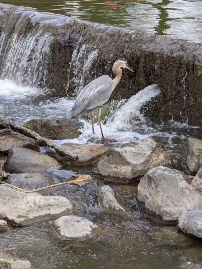 Hinckley Lake Trail Loop - Hinckley, OH