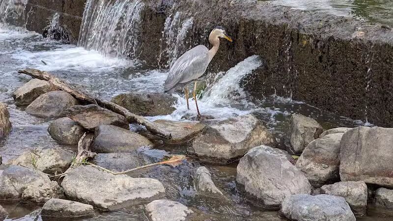 Hinckley Lake Trail Loop - Hinckley, OH