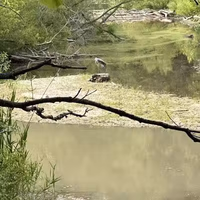 Hinckley Lake Trail Loop - Hinckley, OH