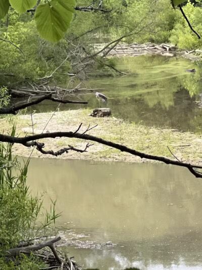 Hinckley Lake Trail Loop - Hinckley, OH