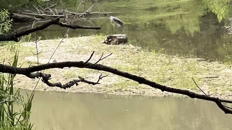 Hinckley Lake Trail Loop - Hinckley, OH