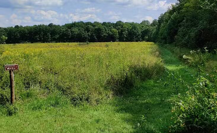 Hinckley Lake Trail Loop - Hinckley, OH