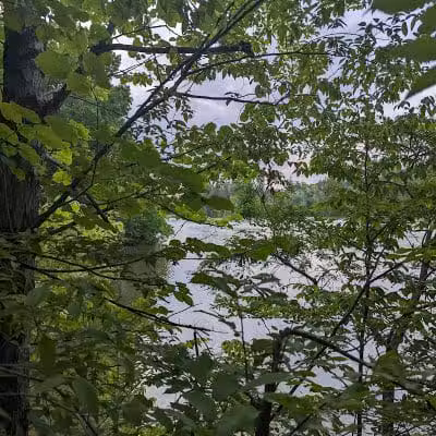 Hinckley Lake Trail Loop - Hinckley, OH