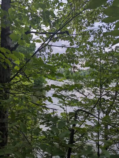 Hinckley Lake Trail Loop - Hinckley, OH