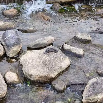 Hinckley Spillway - Hinckley, OH