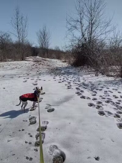 Dog Park at Van Raalte Farm Park - Holland, MI