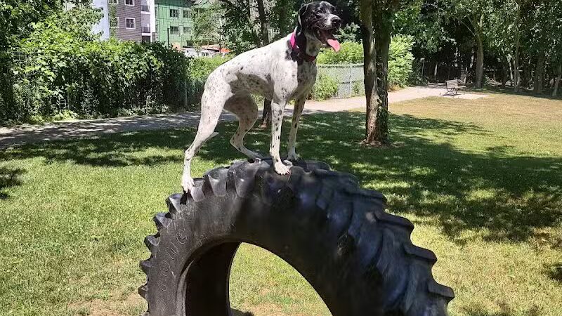 Dog Park at Van Raalte Farm Park - Holland, MI