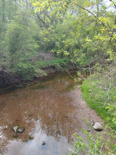 Dog Park at Van Raalte Farm Park - Holland, MI