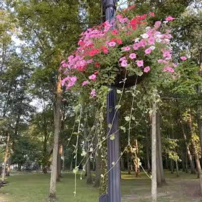 Strawberry Acres Park - Holland, OH