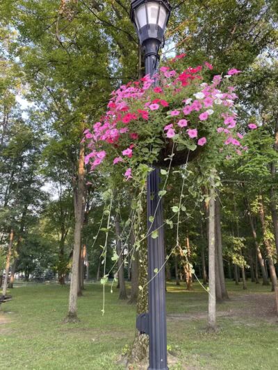 Strawberry Acres Park - Holland, OH