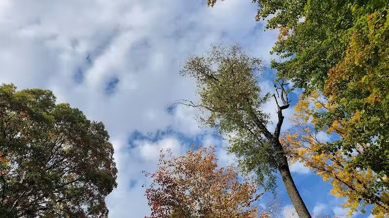 Strawberry Acres Park - Holland, OH