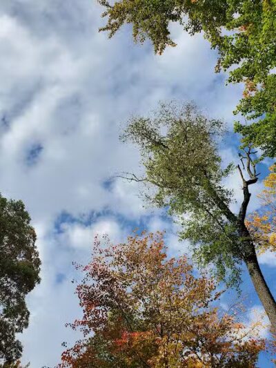 Strawberry Acres Park - Holland, OH