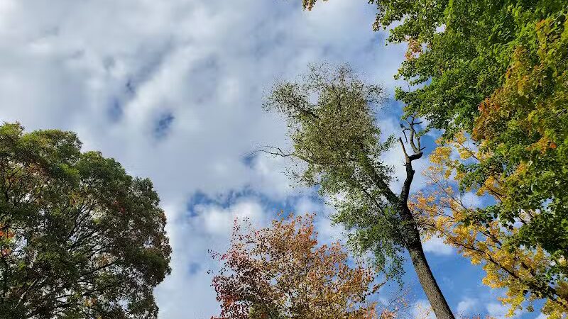 Strawberry Acres Park - Holland, OH