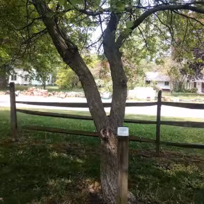 Strawberry Acres Park - Holland, OH