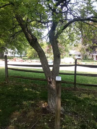 Strawberry Acres Park - Holland, OH