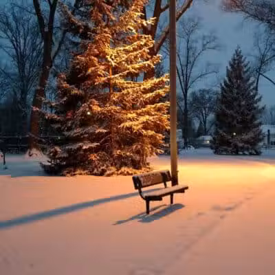 Strawberry Acres Park - Holland, OH