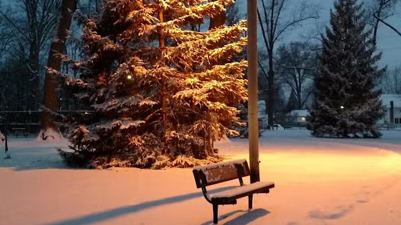 Strawberry Acres Park - Holland, OH