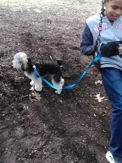 The Lodge at Strawberry Acres Park - Holland, OH