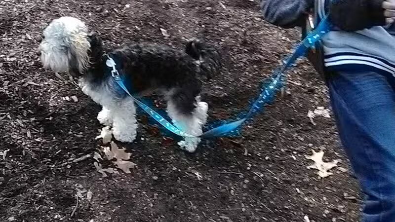 The Lodge at Strawberry Acres Park - Holland, OH