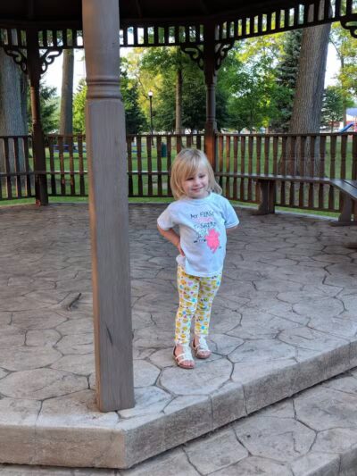 The Lodge at Strawberry Acres Park - Holland, OH