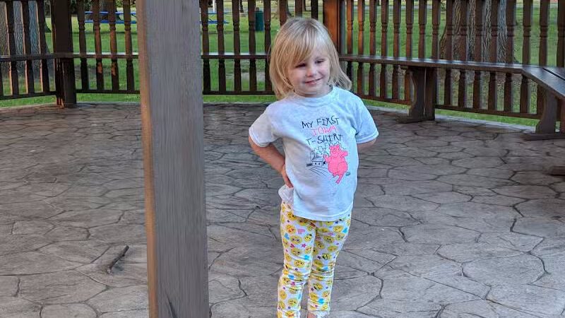 The Lodge at Strawberry Acres Park - Holland, OH