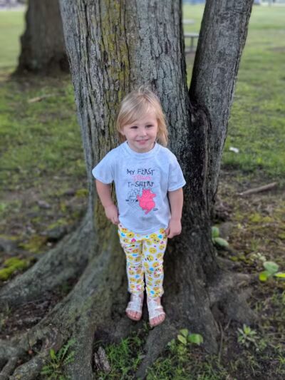 The Lodge at Strawberry Acres Park - Holland, OH