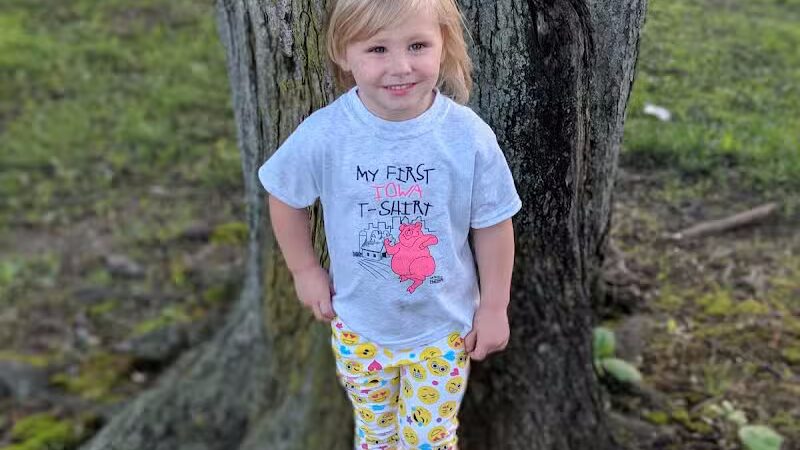 The Lodge at Strawberry Acres Park - Holland, OH