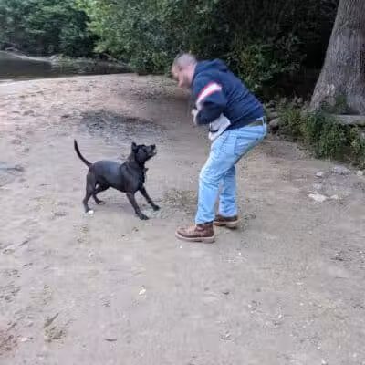 Hooksett Dog Park - Hooksett, NH