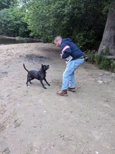 Hooksett Dog Park - Hooksett, NH