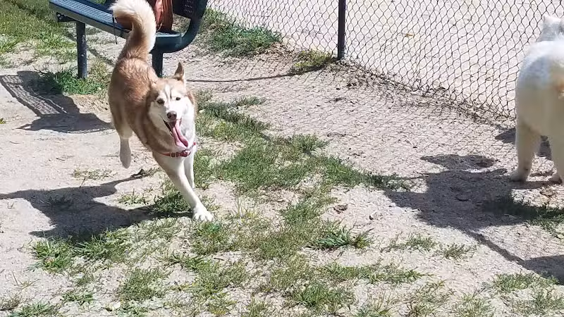 Hooksett Dog Park - Hooksett, NH