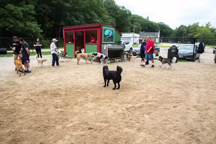 Hooksett Dog Park - Hooksett, NH