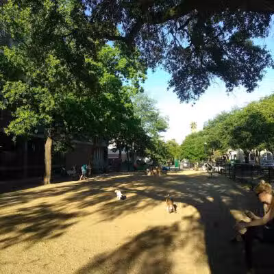 Ervan Chew Dog Park - Houston, TX