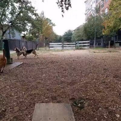 Ervan Chew Dog Park - Houston, TX