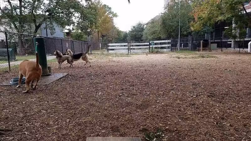 Ervan Chew Dog Park - Houston, TX