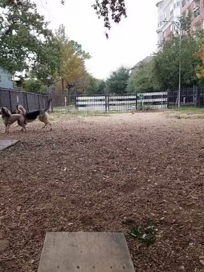 Ervan Chew Dog Park - Houston, TX