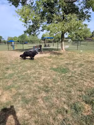 Kitty Hawk/Menlo Dog Park - Huber Heights, OH